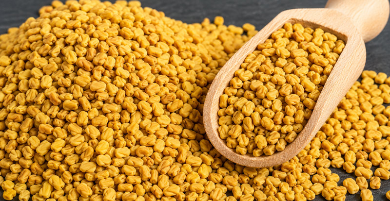 Fenugreek