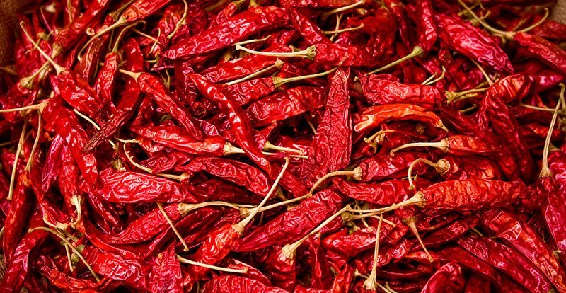 Dried Chilies
