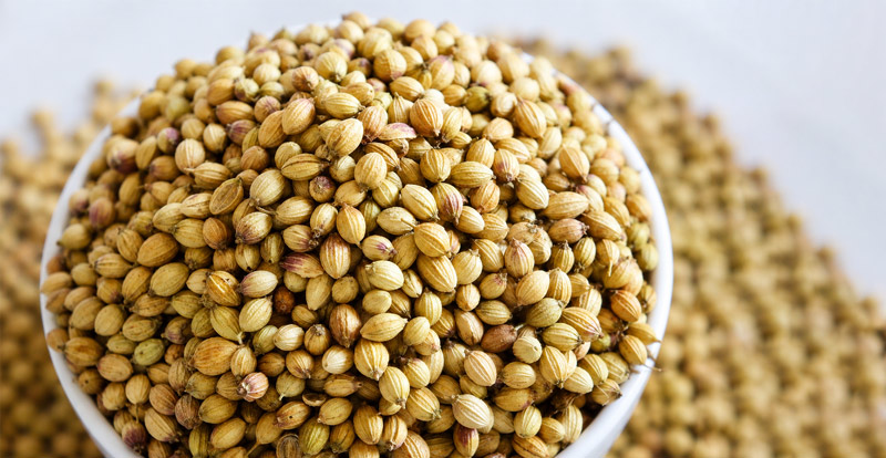 Coriander Seeds